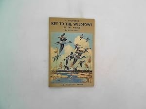 A Coloured Key To The Wildfowl Of The World