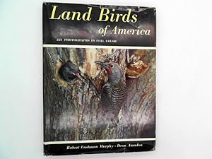 Land birds of America