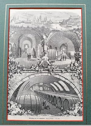 Würzburg und sein Schlosskeller. Holzstich v. J. Merte, um 1880. Rückseitig Text. 23,5 x 17 cm. M...
