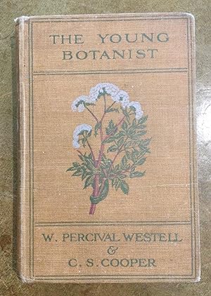 Imagen del vendedor de The Young Botanist a la venta por Reader's Books