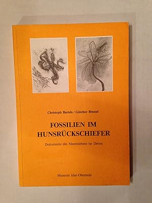 FOSSILIEN IM HUNSRUCKSCHIEFER: Dokumente des Meereslebens in Devon