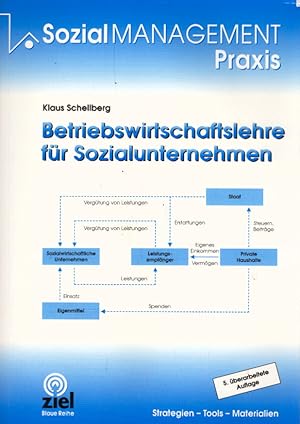 Betriebswirtschaftslehre für Sozialunternehmen