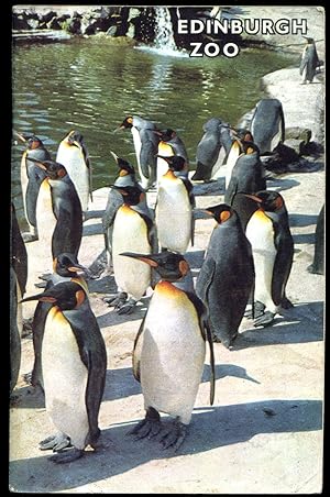 Seller image for Guide To The Scottish National Zoological Park Edinburgh [Edinburgh Zoo] for sale by Little Stour Books PBFA Member