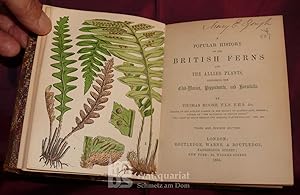 A popular History of the British Ferns and the allied Plants, comprising the Club-Mosses, Pepperw...