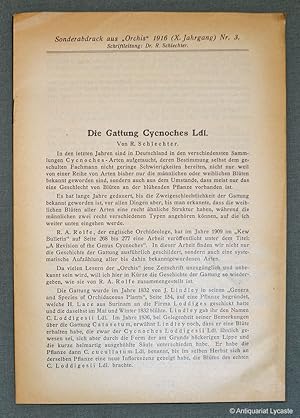 Bild des Verkufers fr Die Gattung Cycnoches Ldl. (Sonderabdruck aus "Orchis", X. Jahrgang, Nr. 3). zum Verkauf von Antiquariat Lycaste