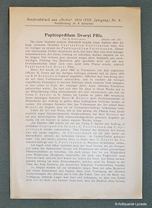 Bild des Verkufers fr Paphiopedilum Druryi Pfitz. (Sonderabdruck aus "Orchis", VIII. Jahrgang, Nr. 8). zum Verkauf von Antiquariat Lycaste