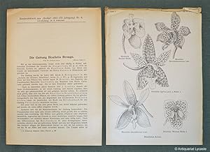 Bild des Verkufers fr Die Gattung Houlletia Brongn. (Sonderabdruck aus "Orchis", IX. Jahrgang, Nr. 6). zum Verkauf von Antiquariat Lycaste