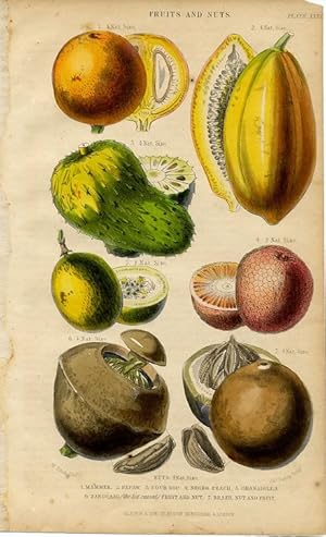 Seller image for 1855 colored botanical print of Fruits and Nuts, mamee,papaw,sour sop,negro peach,granadilla,zabucajo,brazil nut for sale by Artisans-lane Maps & Prints