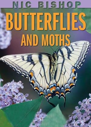 Seller image for Butterflies and Moths for sale by GreatBookPrices