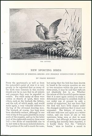 Seller image for New Sporting Birds : The Exploitation of Existing Species & Possible Introduction of Others. An uncommon original article from the Badminton Magazine, 1913. for sale by Cosmo Books