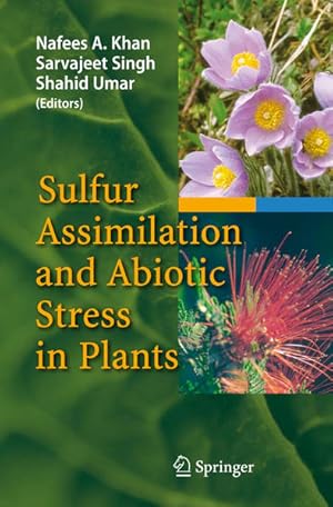 Bild des Verkufers fr Sulfur assimilation and abiotic stress in plants. zum Verkauf von Antiquariat Thomas Haker GmbH & Co. KG