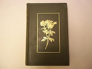 Sub-Alpine Plants or flowers of the Swiss woods and meadows. With 33 coloured plates.