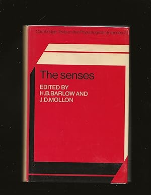 The senses