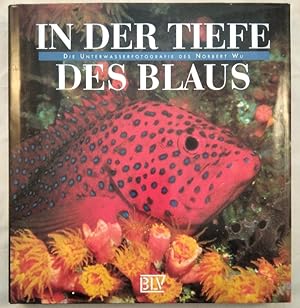 In der Tiefe des Blaus.