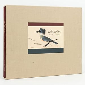 Immagine del venditore per Audubon. Early Drawings venduto da Michael Treloar Booksellers ANZAAB/ILAB