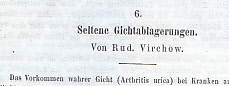 1. Seltene Gichtablagerungen. IN: Virchows Arch. path. Anat., 44, S. 137-38, 1868. 2. Ders.: Die ...