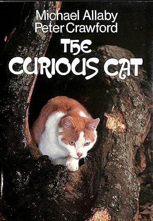 Seller image for Curious Cat for sale by M Godding Books Ltd