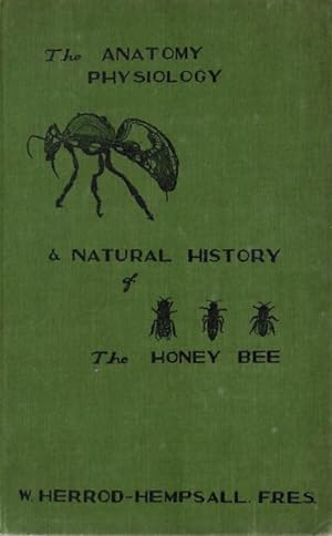 Anatomy, Phisiology and Natural History of the Honey Bee