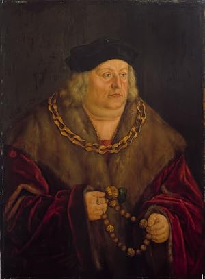 Machtfelder. Die Politik Herzog Albrechts IV. von Bayern (1447/1465-1508) zwischen Territorium, D...
