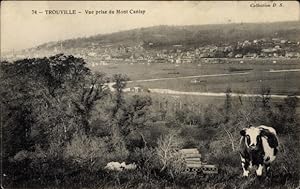 Bild des Verkufers fr Ansichtskarte / Postkarte Trouville Calvados, vue prise du Mont Canisy, Panorama, Kuh zum Verkauf von akpool GmbH