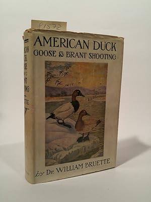 American duck, goose, and brant shooting