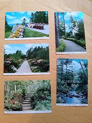Image du vendeur pour Le parc Mtis, Grand Mtis, 7 cartes postales mis en vente par Claudine Bouvier