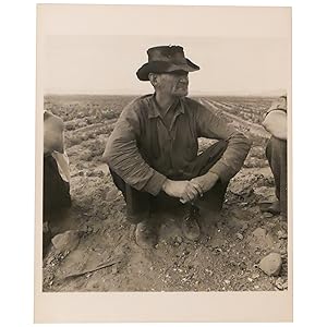 Jobless on the Edge of a Peafield, Imperial Valley, California (Migrant agricultural worker. Holt...