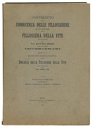 Bild des Verkufers fr Contributo alla conoscenza delle fillosserine ed in particolare della fillossera della vite (con 19 tavole) del prof. Battista Grassi e dei suoi allievi . seguito da un riassunto teorico-pratico della biologia della fillossera della vite (con una tavola) della dott. Anna Fo. Studi fatti e pubblicati per incarico del Ministero d'Agrricoltura, Industria e Commercio. zum Verkauf von Libreria Alberto Govi di F. Govi Sas