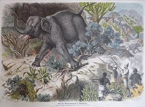 kolorierter Holzstich - Auf der Elefantenjagd in Abessinien.