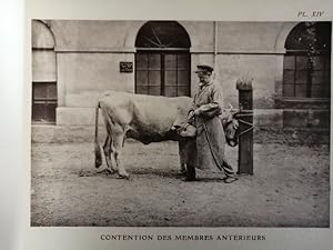 La contention des bovins vers 1910 - BESNOIT Charles - Vétérinaire 71 planches en phototypie