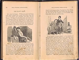 The Young Girl's Book of Healthful Amusements and Exercises