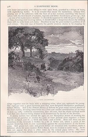 Imagen del vendedor de A Hampshire Moor; Hartfordbridge Flats. An original article from the English Illustrated Magazine, 1892. a la venta por Cosmo Books