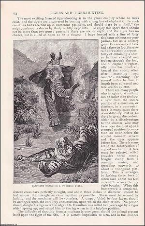 Bild des Verkufers fr Tigers and Tiger-Hunting. An original article from the English Illustrated Magazine, 1892. zum Verkauf von Cosmo Books