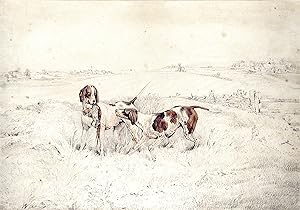 Two pointers retrieving a pheasant