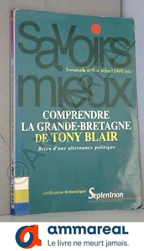 Seller image for Comprendre la Grande-Bretagne de Tony Blair: Bilan d'une alternance politique for sale by Ammareal