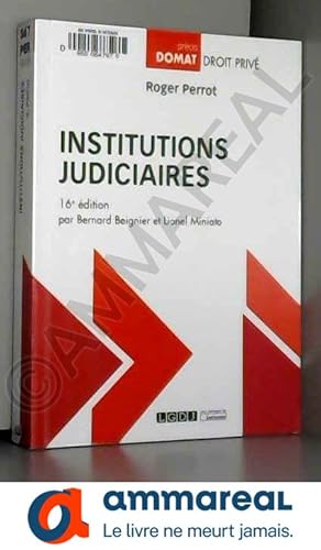 Seller image for Institutions judiciaires for sale by Ammareal