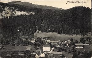 Ansichtskarte / Postkarte Nasswald Naßwald Rax Niederösterreich, Gesamtansicht