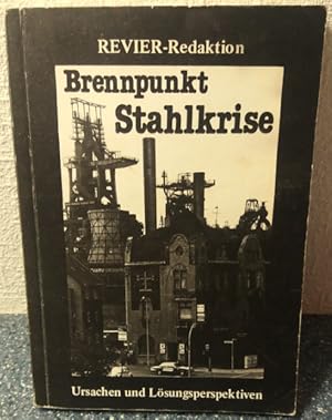 Brennpunkt Stahlkrise. Ursachen und Lösungsperspektiven.