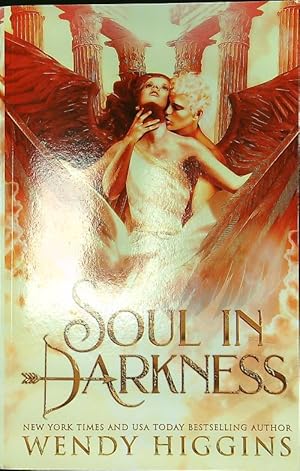 Imagen del vendedor de Soul in darkness a la venta por Librodifaccia