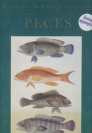 Image du vendeur pour PECES. Grabados Clasicos De Historia Natural mis en vente par Librera Pramo