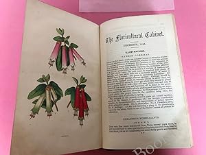 THE FLORICULTURAL CABINET, AND FLORISTS' MAGAZINE - 2 Volumes 1855-1856