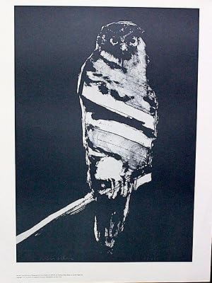 Seller image for THE OWL - ANPAO : AN AMERICAN INDIAN ODYSSEY / BLACK & WHITE PICTORIAL POSTER for sale by THE FINE BOOKS COMPANY / A.B.A.A / 1979