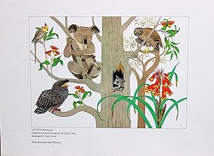 Seller image for LITTLE KOALA / FULL COLOR PICTORIAL POSTER for sale by THE FINE BOOKS COMPANY / A.B.A.A / 1979