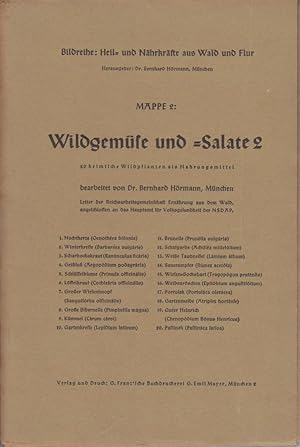 Wildgemüse und -Salate 2: 20 heimische Wildpflanzen als Nahrungsmittel. Schriftenreihe: Heil- und...