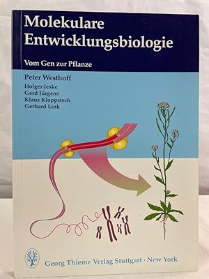 Molekulare Entwicklungsbiologie : vom Gen zur Pflanze ; 19 Tabellen. P. Westhoff .