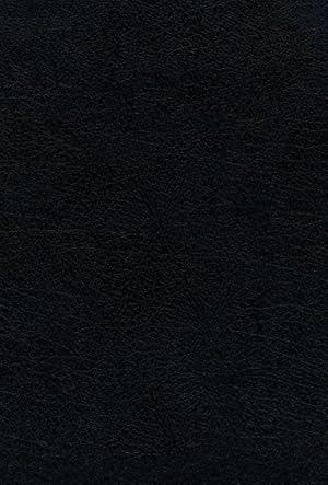 Immagine del venditore per Santa Biblia / Holy Bible : Reina Valera 1960, Negro, Piel Fabricada, Letra Grande, Comfort Print -Language: spanish venduto da GreatBookPrices