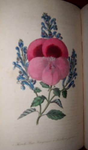 The Floricultural Cabinet and Florists' Magazine, Volume XI January-December 1843 AND The ...