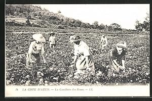 Seller image for Ansichtskarte La Cote D`Azur, La Cueillette des Roses, Pflcker auf dem Feld, Parfmeur for sale by Bartko-Reher
