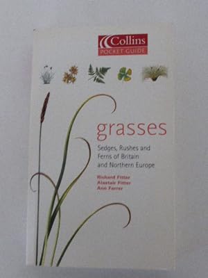 Seller image for Grasses, Sedges, Rushes and Ferns of Britain and Northern Europe (Collins Pocket Guide) for sale by Idle Booksellers PBFA