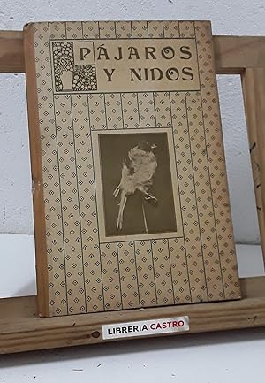 Pájaros y nidos